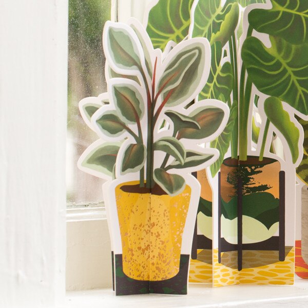 Rubber Paper Plant 2